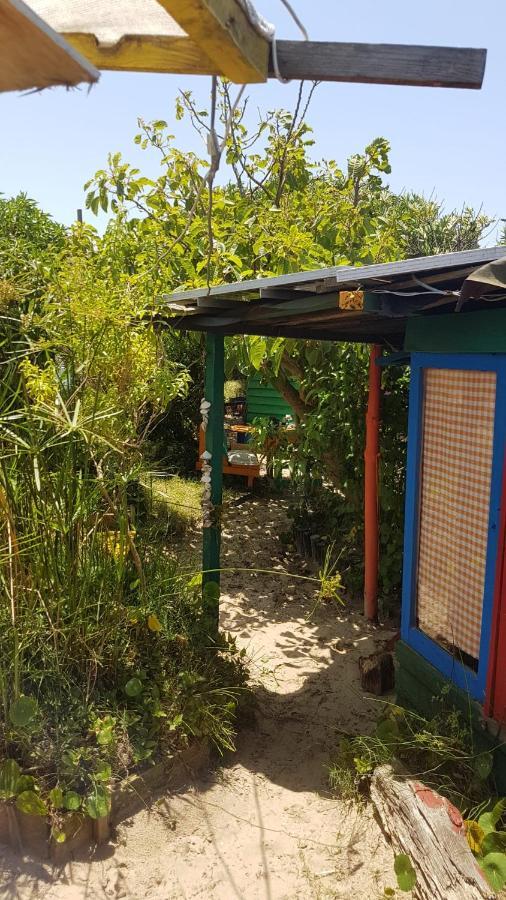Ajo Aloha Hostel Cabo Polonio Kültér fotó